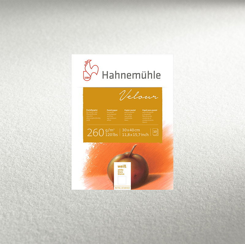 HAHNEMUHLE Pastel velour paper for pastel and oil pastel crayon. 260 gsm White and 10 colours