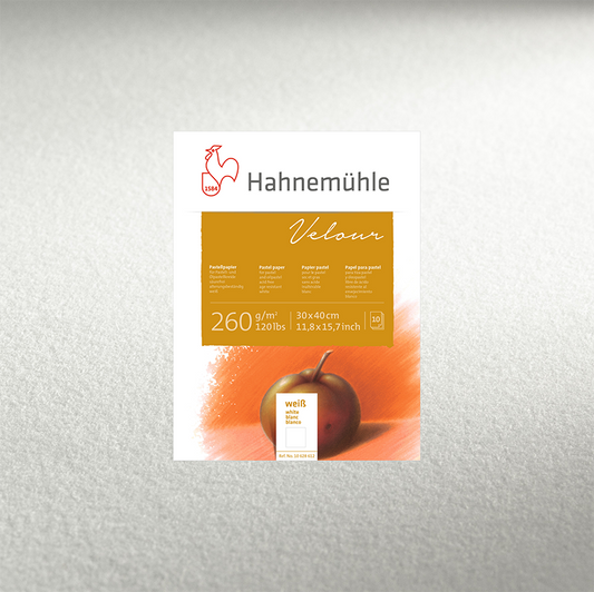 HAHNEMUHLE Pastel velour paper for pastel and oil pastel crayon. 260 gsm  White and 10 colours