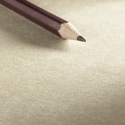 HAHNEMUHLE Kraft Paper Sketchbook & Booklet 120 gsm