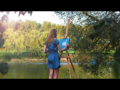 MEEDEN Tripod Plein Air Painting Easel with Carrying Case-W07E